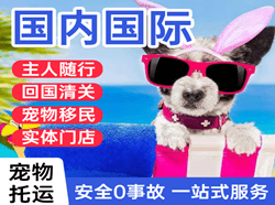 长治机场空运国际宠物托运 【国